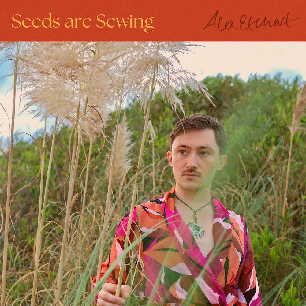 Seeds are Sewing debut a cappella album of joy and justice with 60 singers